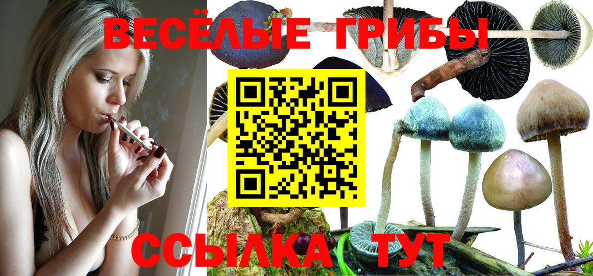 Псилоцибиновые грибы мицелий  Галлюциногенные грибы Cubensis  Чусовой  Вход с VPN 